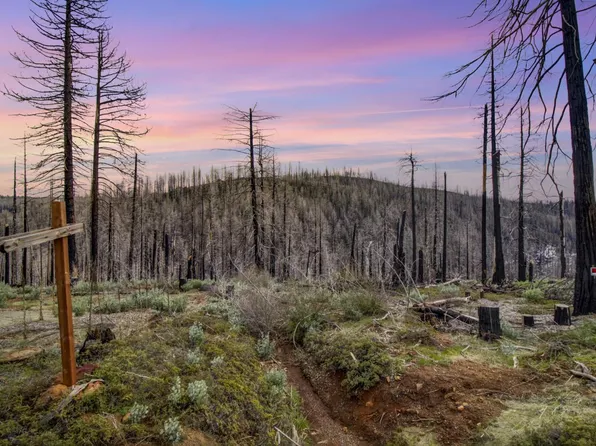 5308 Wooded Glen Rd, Grizzly Flats, CA 95636