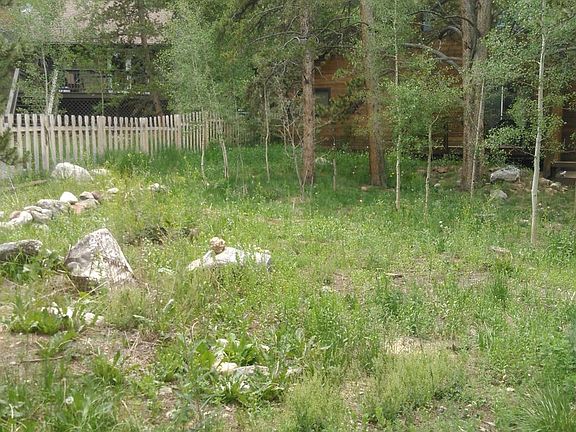 Large, Fenced Back Yard