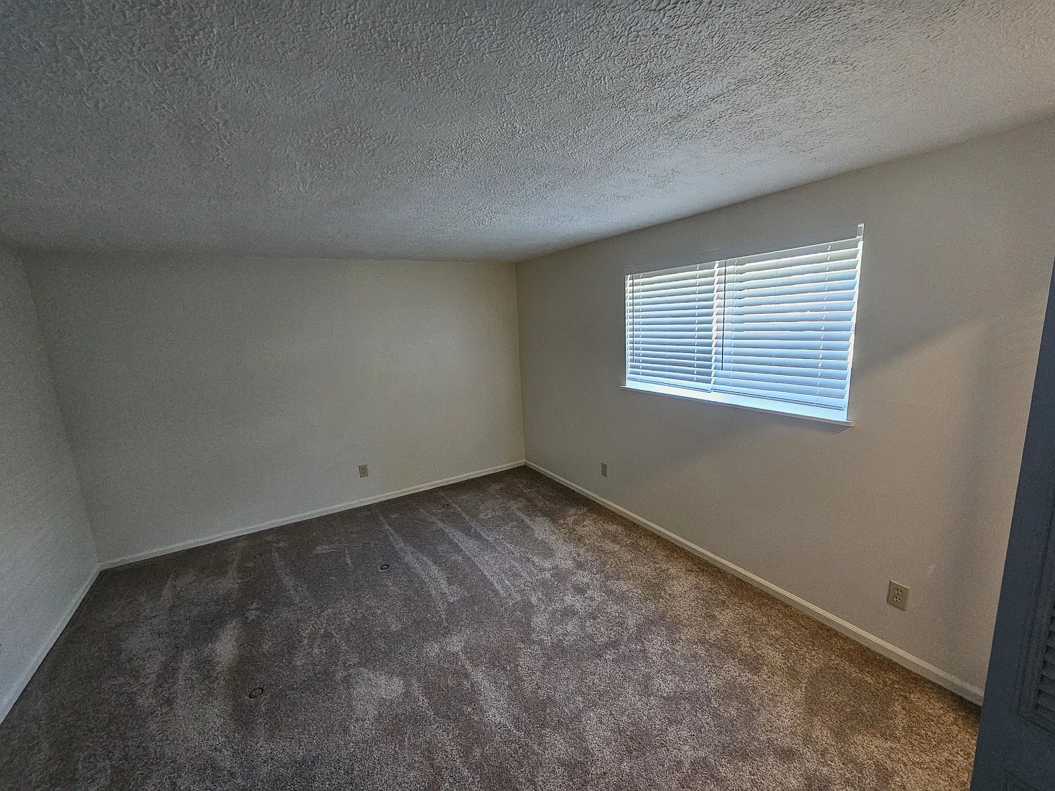 1 bed, 800 sqft, $845 — Photo 2