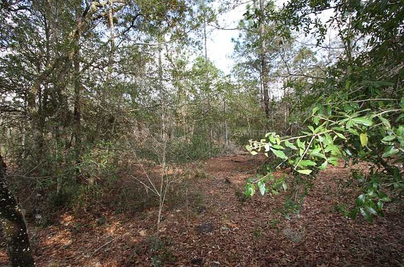 2nd image of 5569 E Zachary Path