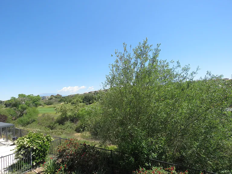 35063 Hogan Dr — Photo 4
