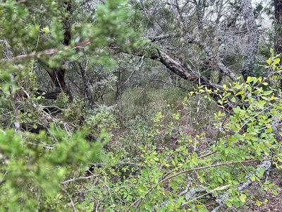 000 TAYLOR DR, TX, Marble Falls, TX, 78654