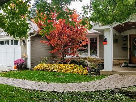 3rd image of 289 Abbotsford Ct