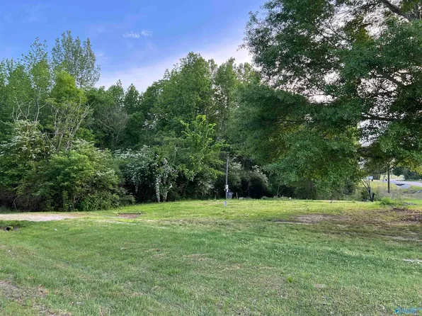 8373 County Road 221, Trinity, AL 35673