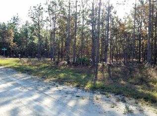 13076 Sanders Ave, Weeki Wachee, FL 34614