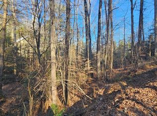 1620 Nexus Dr, Ellijay, GA