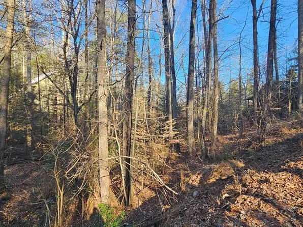 1620 Nexus Dr, Ellijay, GA 30540