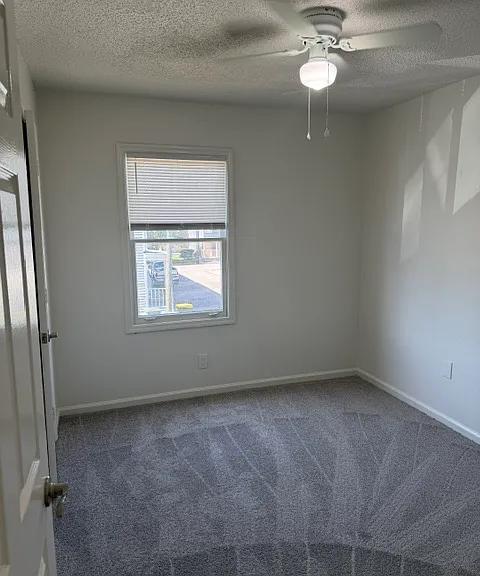 533 Nicoll St — Photo 5