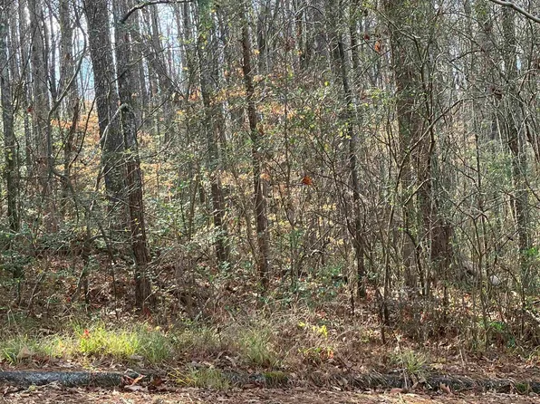 0 Woodland Hills Dr #9 & 11, Springville, AL 35146