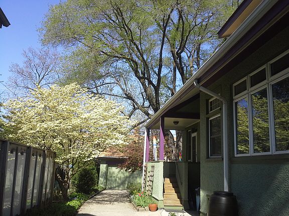 Drive, garage and trees