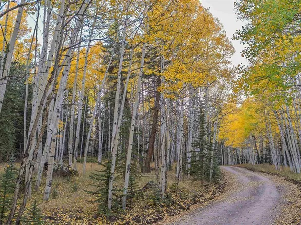 32301 Spring Creek Drive, Creede, CO 81130