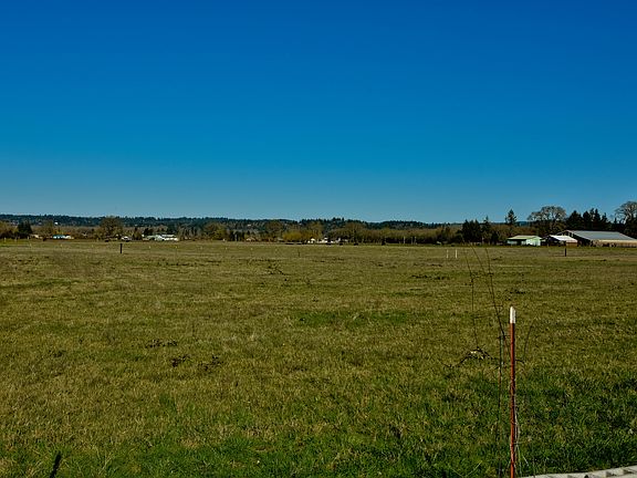 Backyard View North
