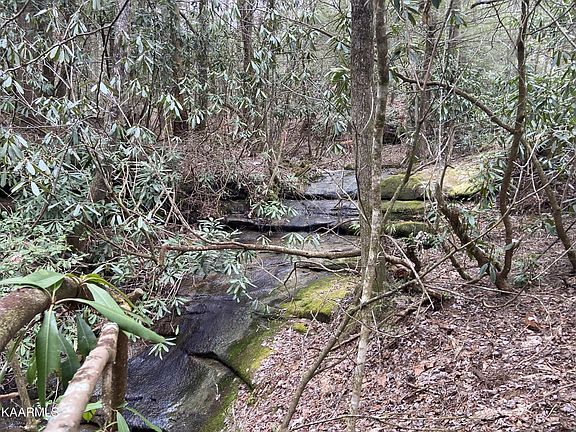 4th image of 0 Bea Lee Rd
