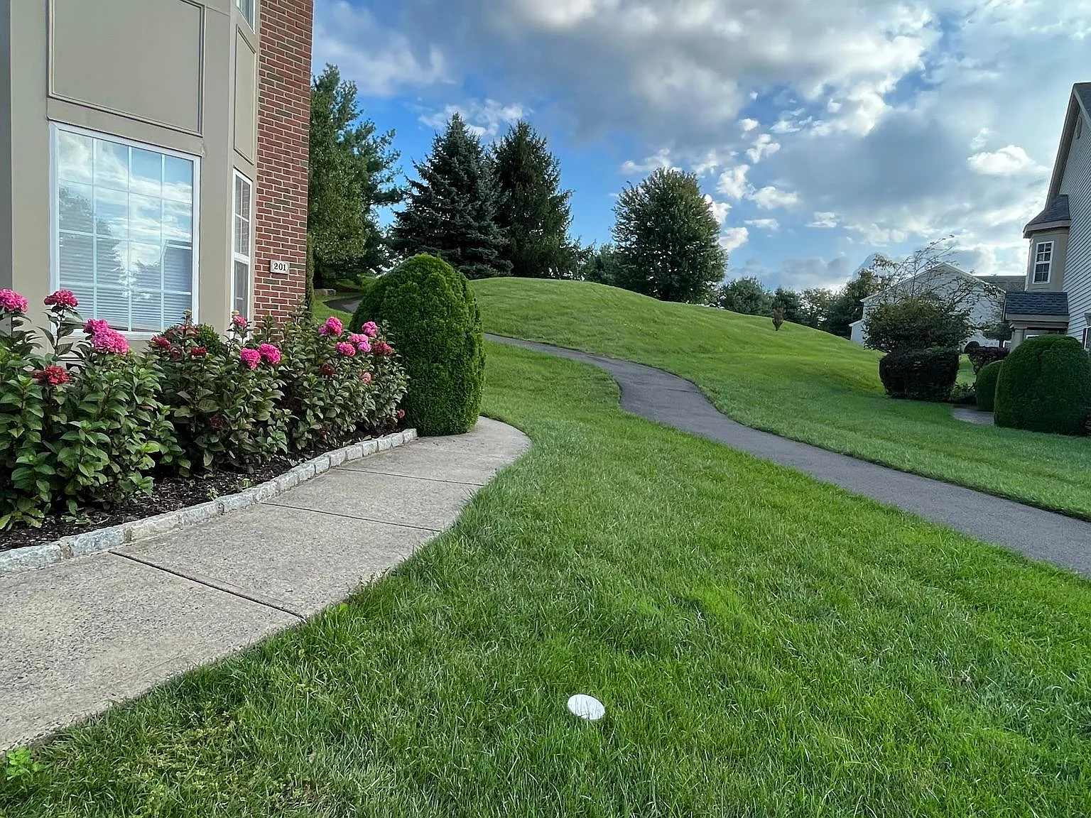 201 White Pine Ct — Photo 3