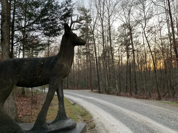 0 N Rim Dr Lot Nb6, Coalmont, TN 37313