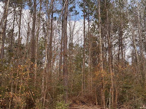 2nd image of County Road 434