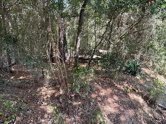 3rd image of Tbd Locust Rd