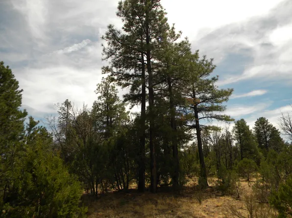 7666 Mogollon Trl, Happy Jack, AZ 86024