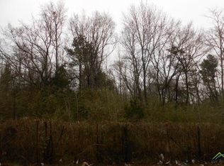 0 NE 4th St, Mount Enterprise, TX 75681