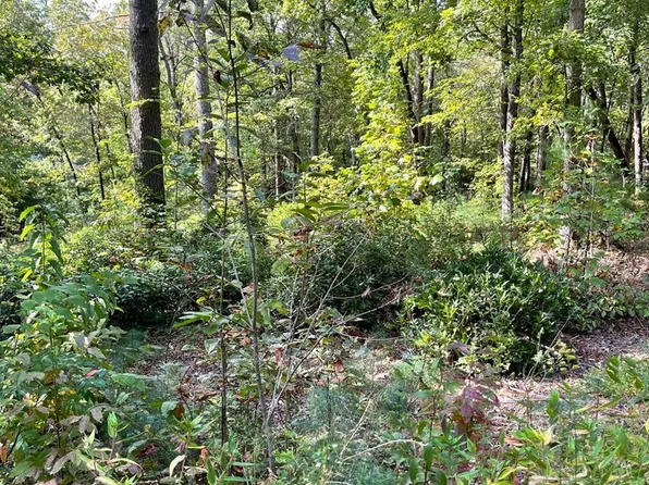 109 E Timber Ridge Ln, Hayesville, NC 28904