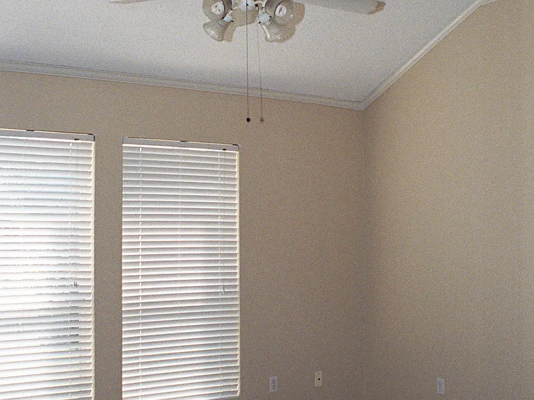 Living area; vaulted ceiling, crown molding