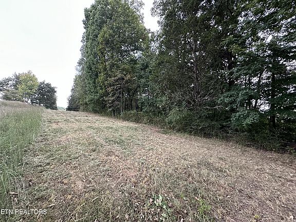 3rd image of 0 County Road 331