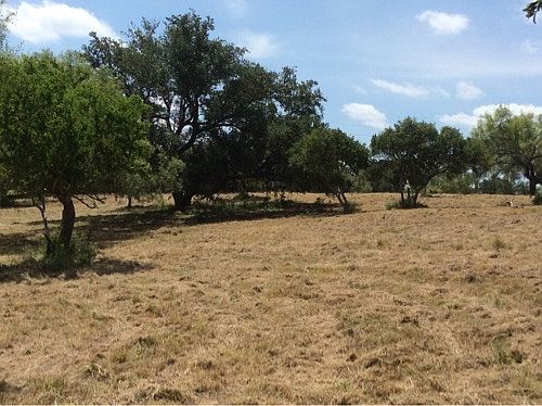 5th image of 798 County Road 458
