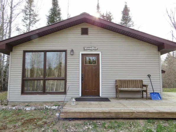 21005 S M 123, Trout Lake, MI 49793
