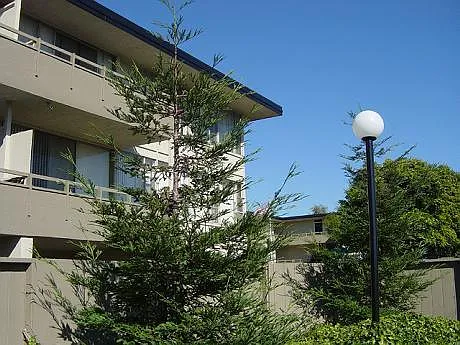 Montoya Garden — Photo 11