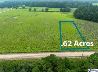 LOT 3 Tansy Rd, Loris, SC 29569