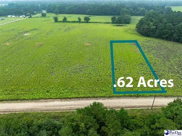 LOT 3 Tansy Rd, Loris, SC 29569