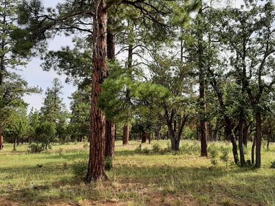 2941 Eagle Ridge Cir, Happy Jack, AZ, 86024