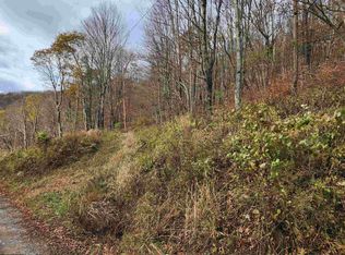 20 Meadows Rd E, Harman, WV 26270