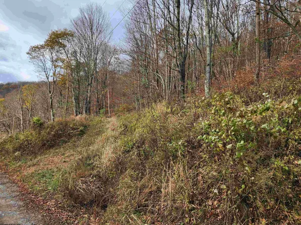 20 Meadows Rd E, Harman, WV 26270