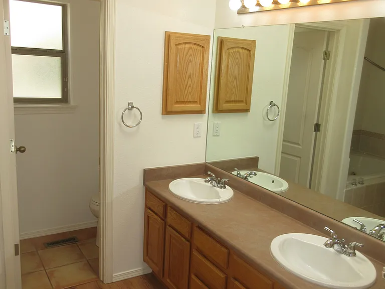 Primary Suite Bath