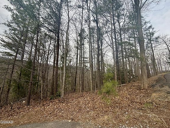 5th image of 6 Thissa Way Lot 6