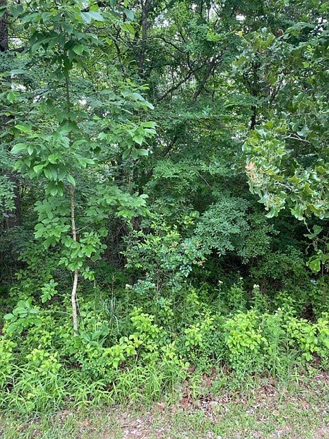 2nd image of Sam Houston Dr