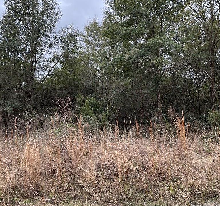 2nd image of NE 280th Ave