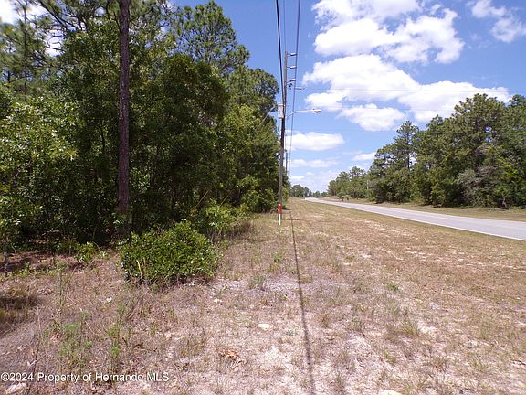 3rd image of 4162 W Citrus Springs Blvd