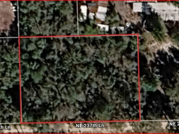 5 & 6 NE 237th Ln, Fort Mc Coy, FL 32134