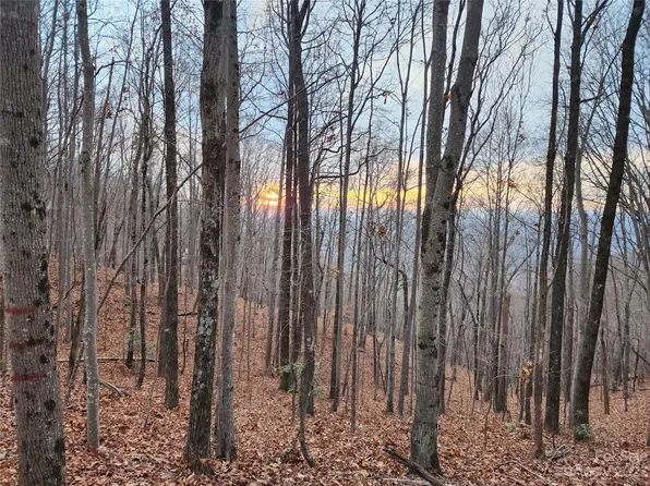 22 Amelia Ln, Bostic, NC 28018