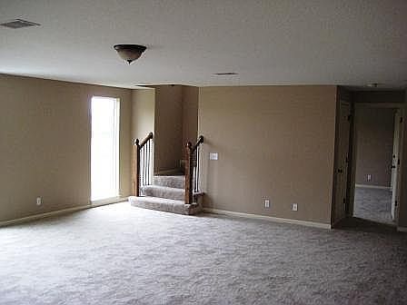 lower level media room