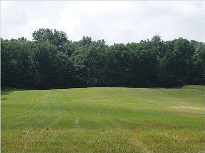 2nd image of 13472 5 Mile Rd NE #Par