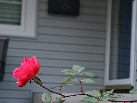 2nd image of 2118 14th St