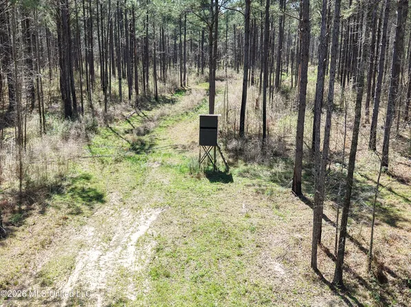 Oldenburg Rd, Meadville, MS 39653