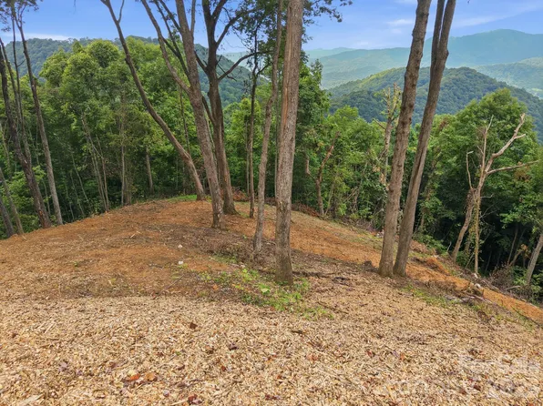 99999 Davidson Gap Rd #79, Leicester, NC 28748
