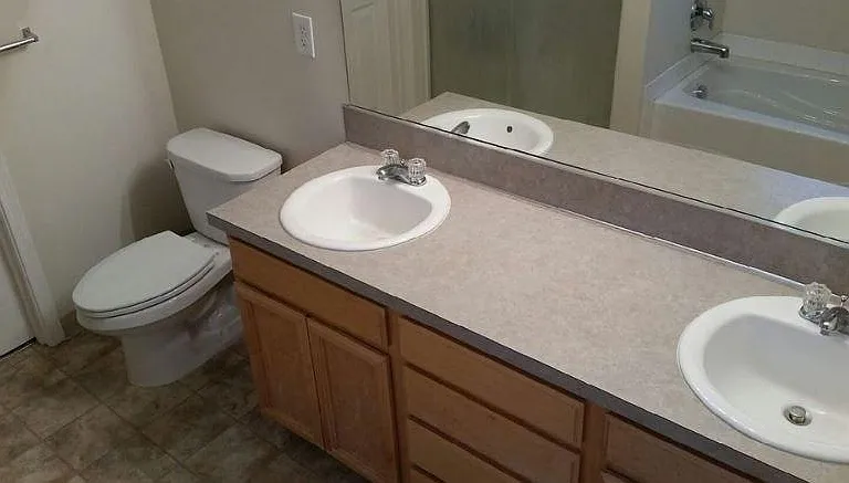 Primary Bathroom Vanity