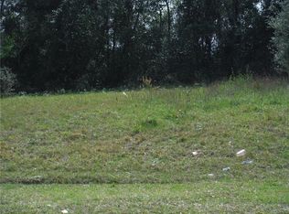 0 SE 142nd Place Rd, Summerfield, FL 34491