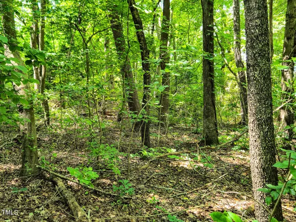 0 Green Pasture Ln #1, Ruffin, NC 27326