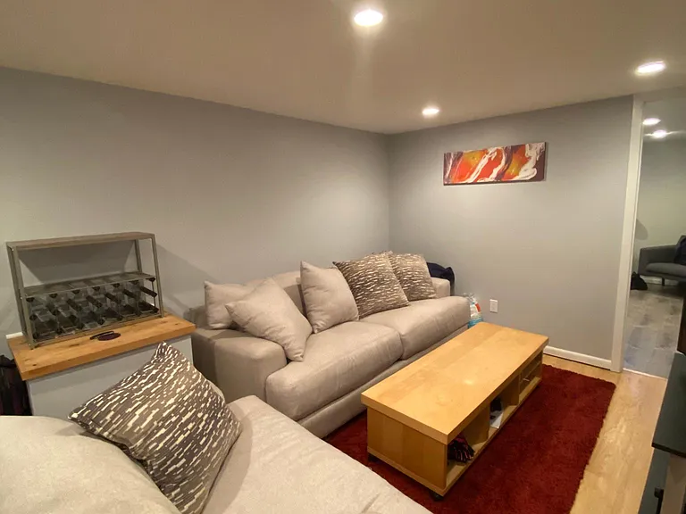 Downstairs family room